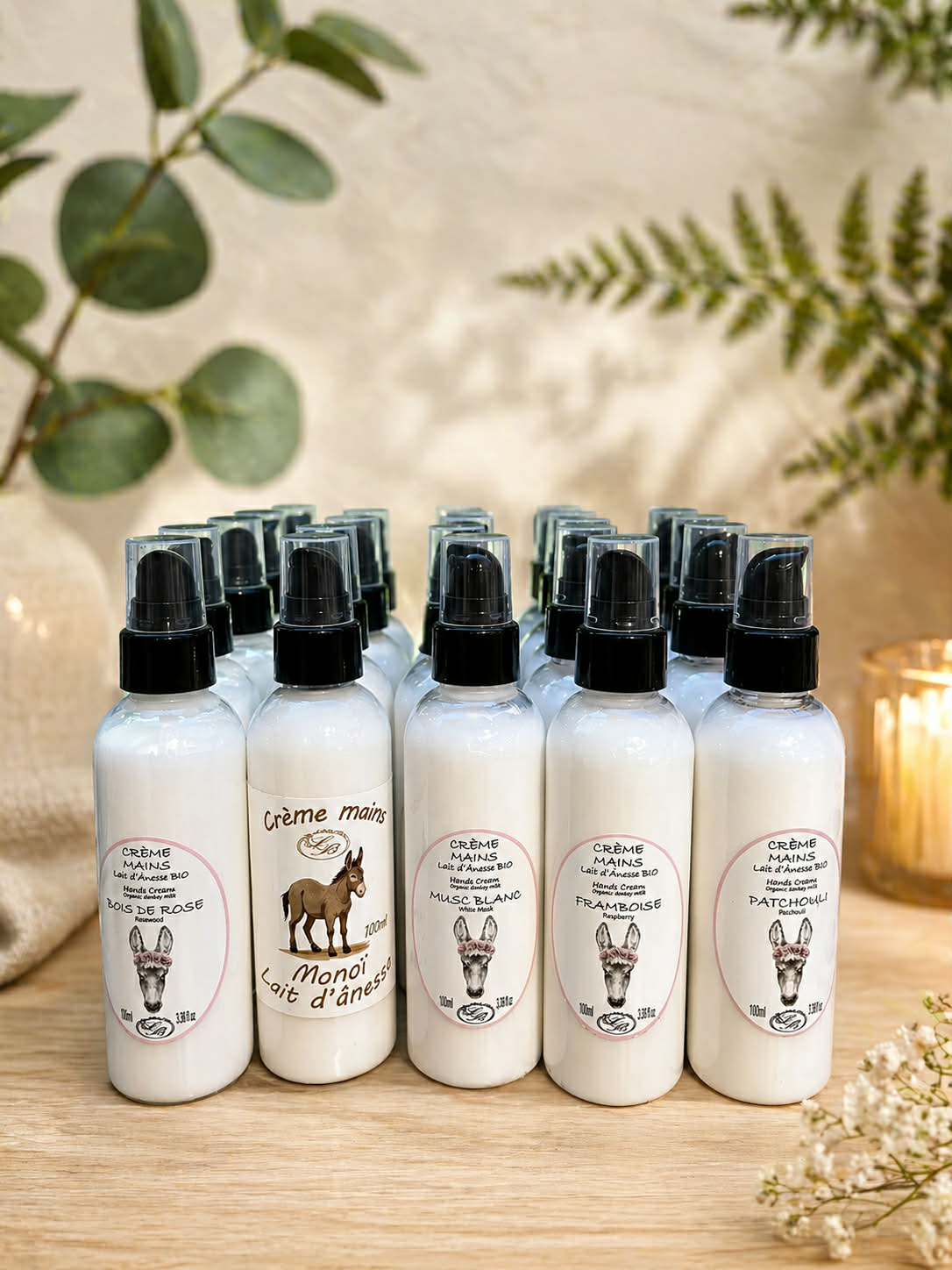 Crème mains au Lait Anêsse BIO 100Ml