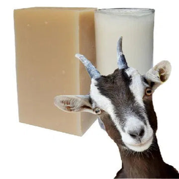 Savon au lait de chèvre