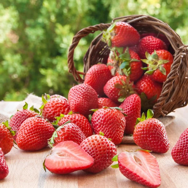 Fondant Parfumé Fraise