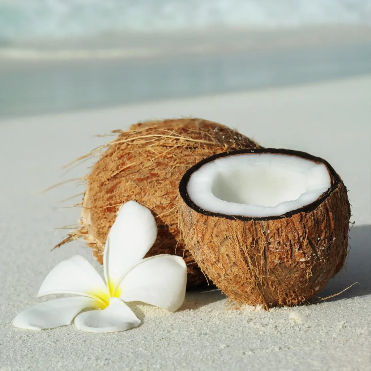 Fondant Parfumé Monoï Coco
