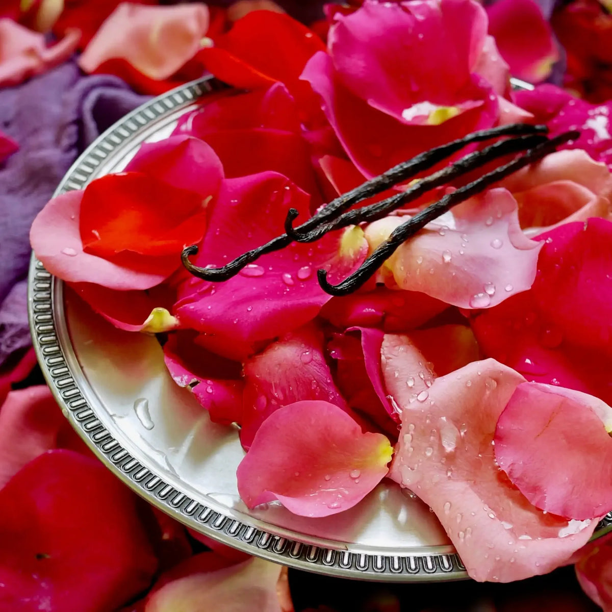 Fondant Parfumé Rose Vanillé